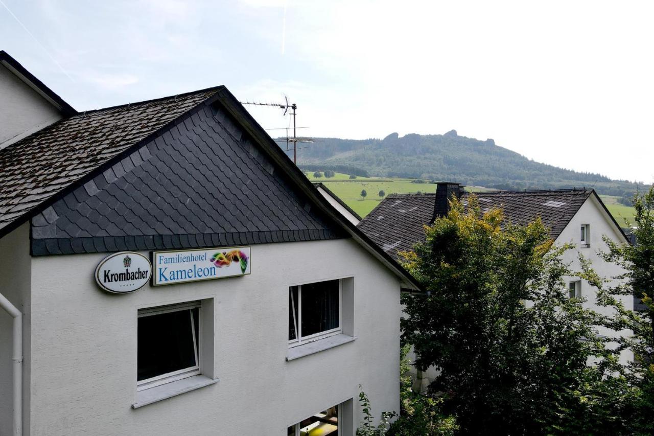Familie Hotel Kameleon Elleringhausen Экстерьер фото