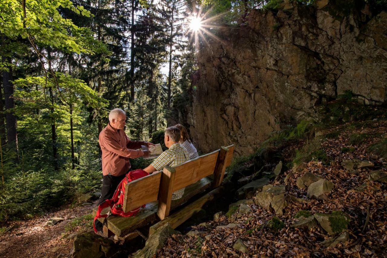 Familie Hotel Kameleon Elleringhausen Экстерьер фото